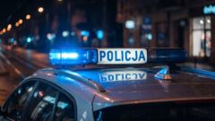 Brodnica: po kolizji uciekał przez płoty. Miał blisko 3 promile