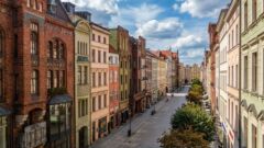 Dwa nowe mikrolasy. Mieszkańcy mogą pomóc w sadzeniu