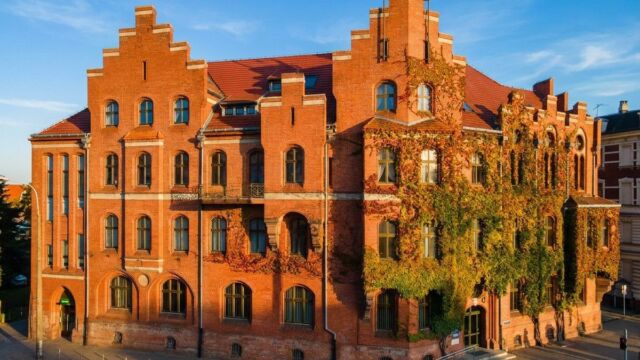 Papuga, żółw, wąż? Sprawdź obowiązek zgłoszenia